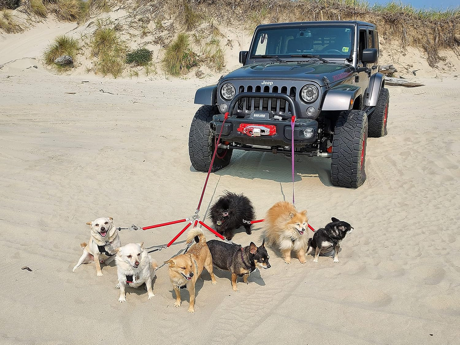 - Dual Dog Leash- Multiple Walker (RED)